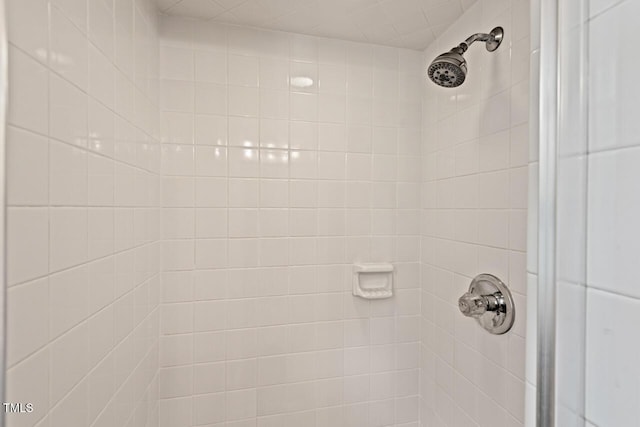 6304 Ansley Ln, Raleigh, NC 27612 - bathroom view of tiled shower