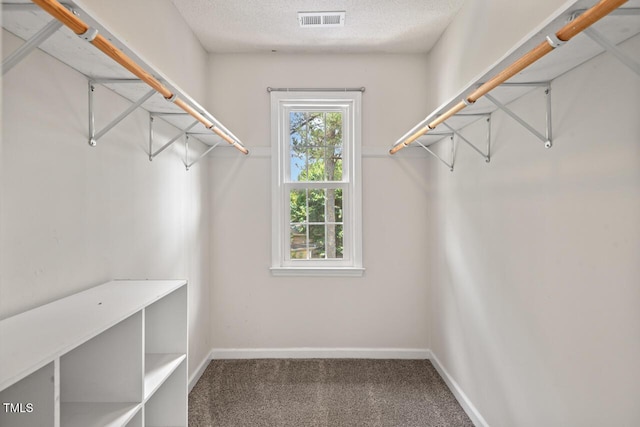 6304 Ansley Ln, Raleigh, NC 27612 - spacious closet with carpet flooring