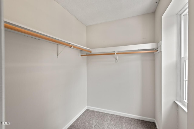 6304 Ansley Ln, Raleigh, NC 27612 - spacious closet featuring carpet floors