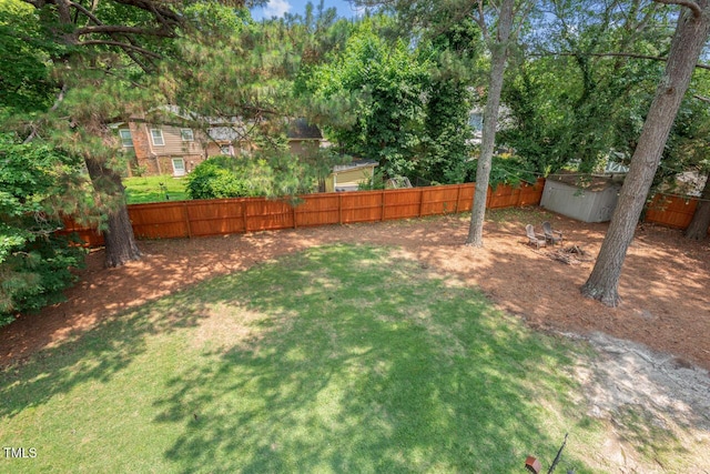6304 Ansley Ln, Raleigh, NC 27612 - view of yard