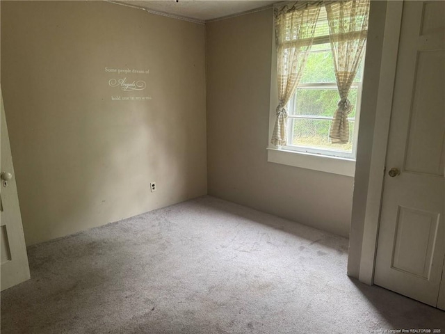view of carpeted spare room