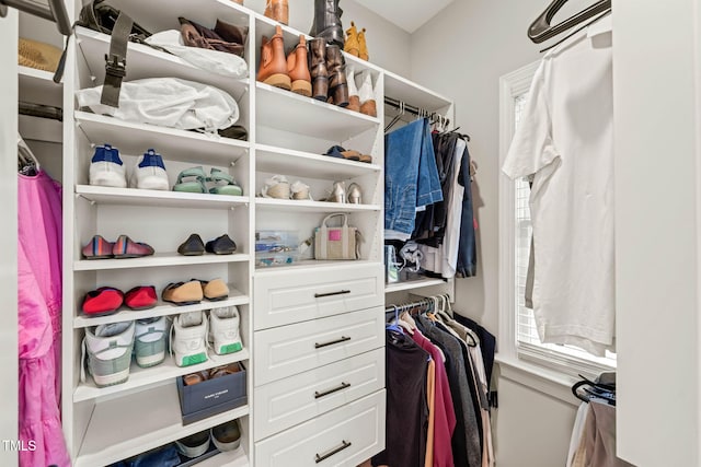 2408 Fordcrest Dr, Apex, NC 27502 - view of spacious closet