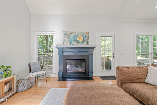 2408 Fordcrest Dr, Apex, NC 27502 - living area with wood finished floors, a fireplace with flush hearth, and baseboards