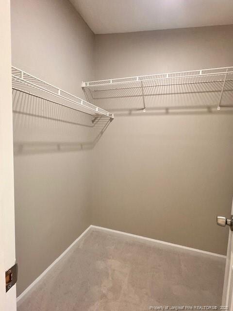 spacious closet with carpet floors