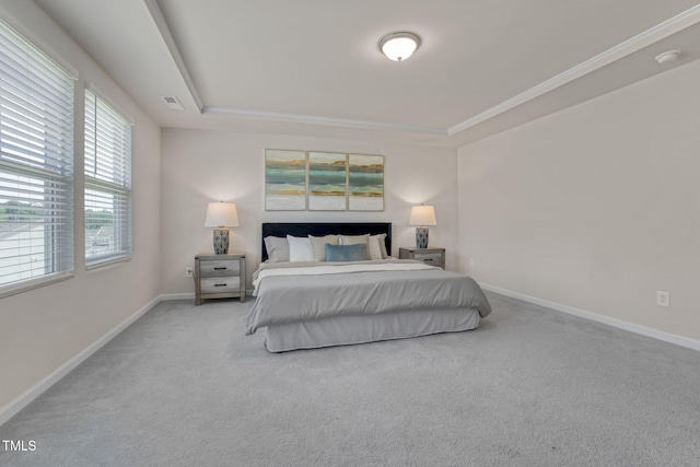 1007 Sora Way, Durham, NC 27703 - bedroom featuring a tray ceiling, baseboards, and carpet