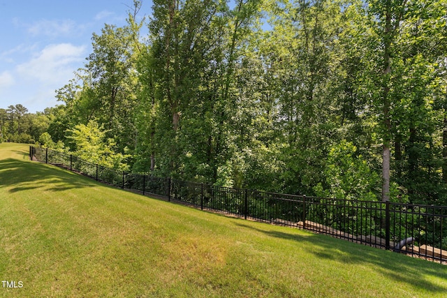 211 Ibis Ln, Durham, NC 27703 - view of yard