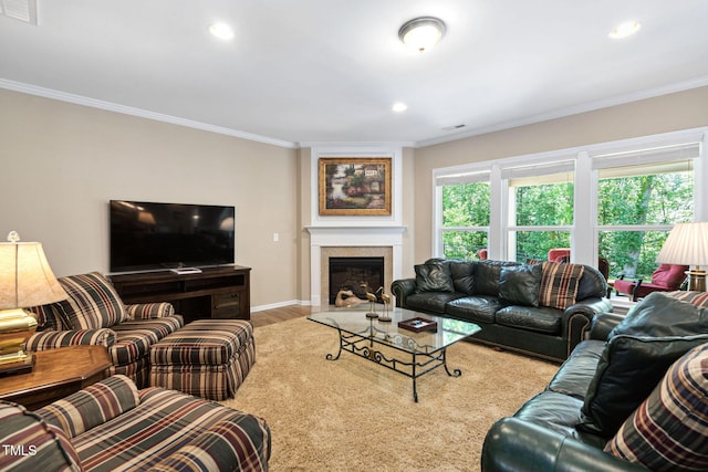 211 Ibis Ln, Durham, NC 27703 - living room with crown molding, wood finished floors, recessed lighting, baseboards, and a fireplace