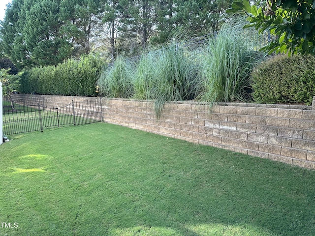 view of yard
