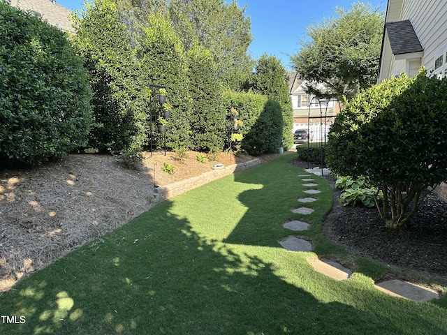 view of grassy yard