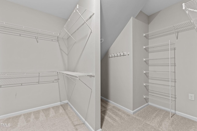 1112 Monterey Bay Dr, Wake Forest, NC 27587 - walk in closet with carpet floors