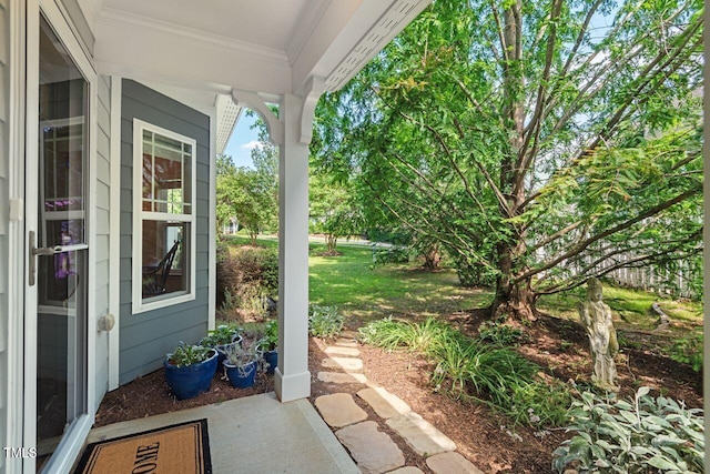 3002 Bartlett Cir, Hillsborough, NC 27278 - view of patio