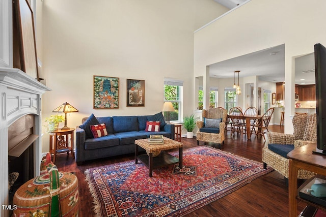 3002 Bartlett Cir, Hillsborough, NC 27278 - living area with a fireplace with raised hearth, a high ceiling, hardwood / wood-style flooring, and baseboards