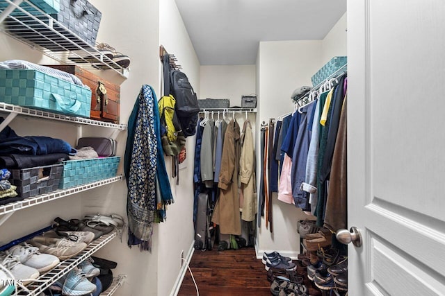 3002 Bartlett Cir, Hillsborough, NC 27278 - walk in closet with wood finished floors