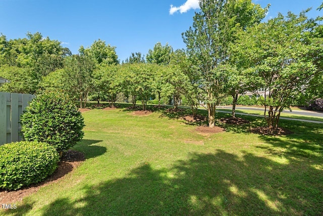 3002 Bartlett Cir, Hillsborough, NC 27278 - view of yard