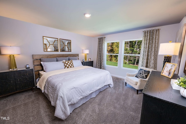 2250 Cherry Creek Rd, Haw River, NC 27258 - carpeted bedroom with baseboards