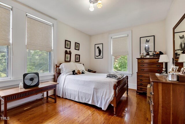 517 N E St, Raleigh, NC 27604 - bedroom with multiple windows and wood finished floors