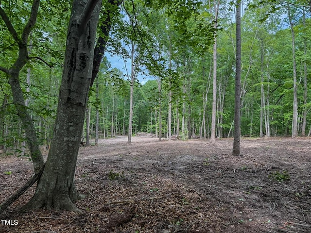 9016 Aaron Creek Church Rd, Oxford, NC 27565 - photo 7