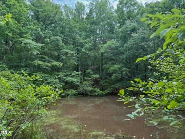 9016 Aaron Creek Church Rd, Oxford, NC 27565 - photo 4