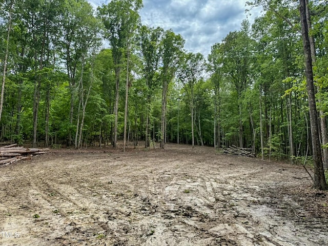 9016 Aaron Creek Church Rd, Oxford, NC 27565 - photo 2