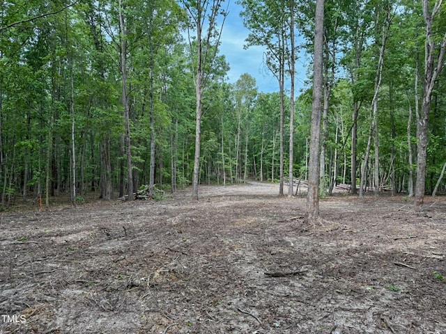 9016 Aaron Creek Church Rd, Oxford, NC 27565 - photo 3