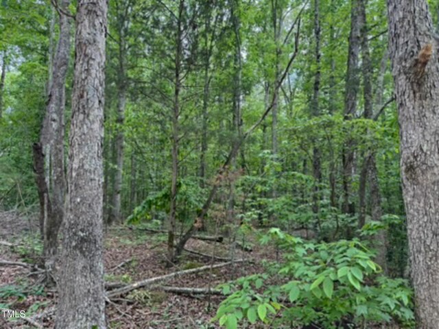 9016 Aaron Creek Church Rd, Oxford, NC 27565 - photo 12