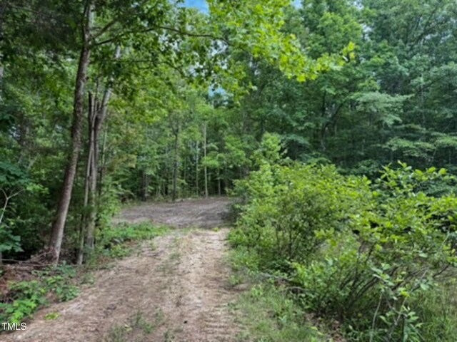 9016 Aaron Creek Church Rd, Oxford, NC 27565 - photo 13