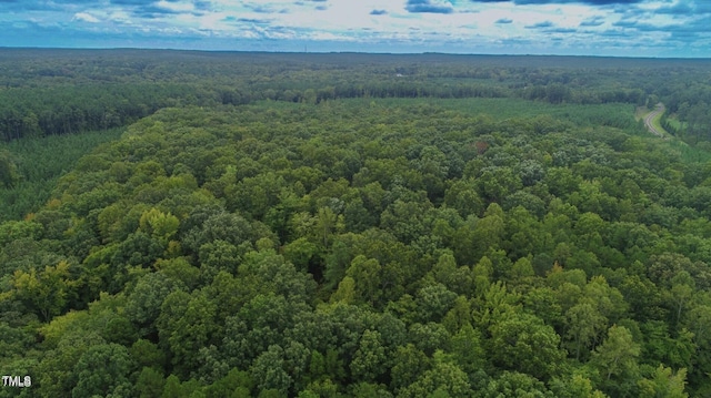9016 Aaron Creek Church Rd, Oxford, NC 27565 - photo 5