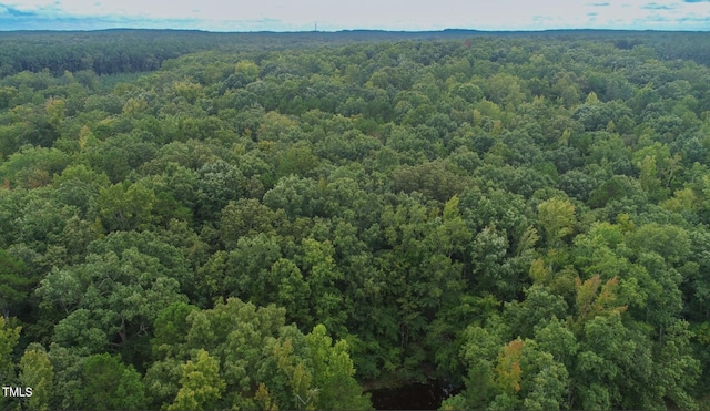 9016 Aaron Creek Church Rd, Oxford, NC 27565 - photo 15