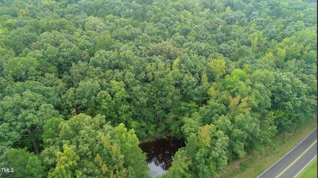 9016 Aaron Creek Church Rd, Oxford, NC 27565 - photo 10