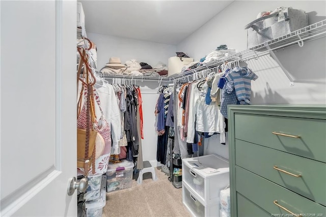607 Rempstone Ln, Fayetteville, NC 28311 - walk in closet featuring carpet