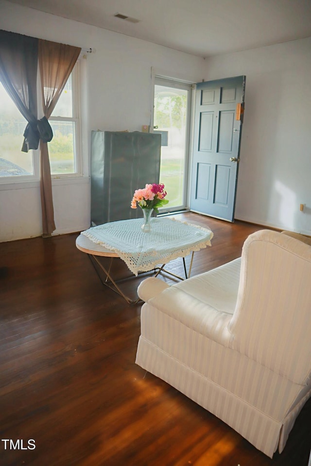 6591 Goldsboro Rd, Wade, NC 28395 - living room with plenty of natural light and wood finished floors