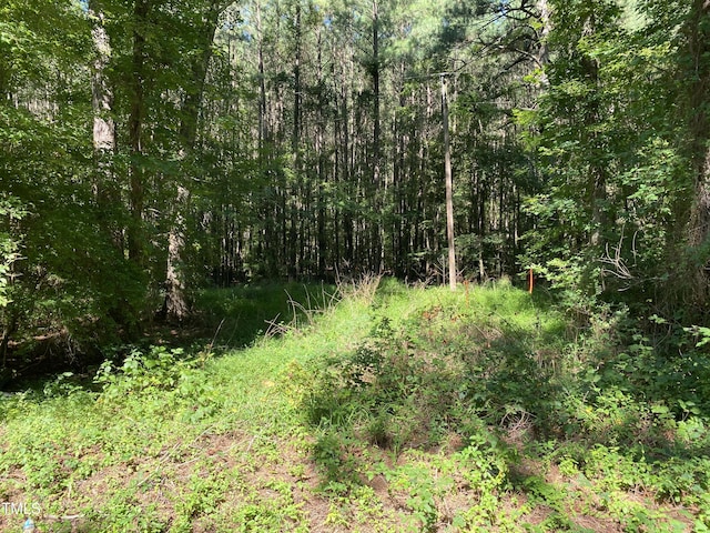 0 Collins Rd, Manson, NC 27553