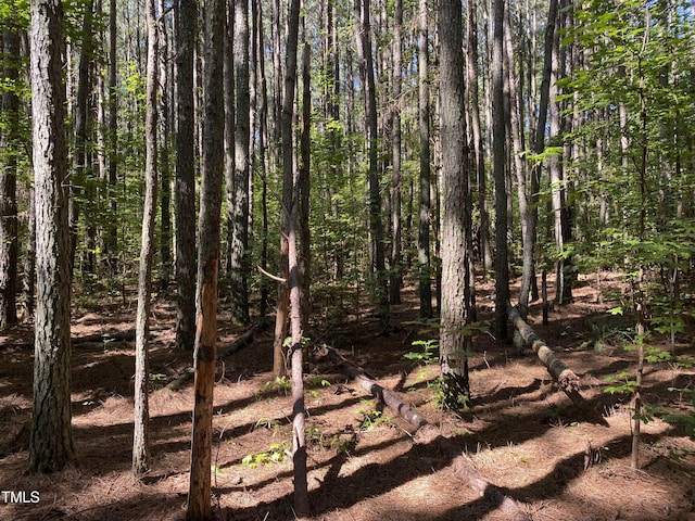 0 Collins Rd, Manson, NC 27553