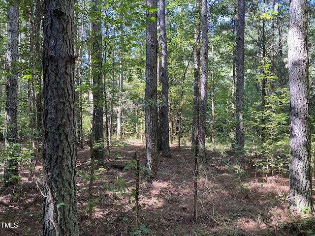 0 Collins Rd, Manson, NC 27553
