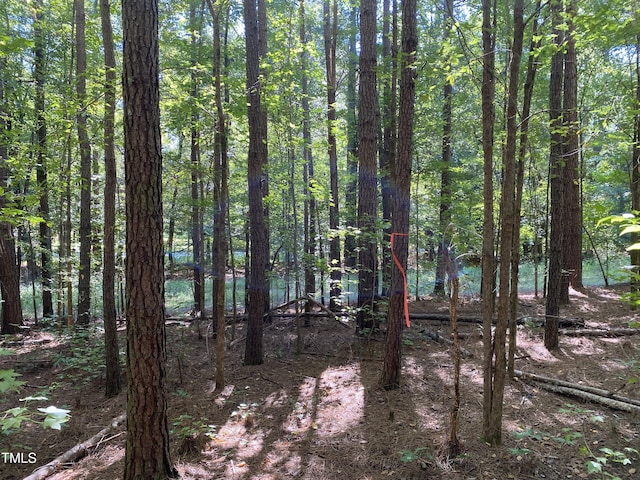 0 Collins Rd, Manson, NC 27553