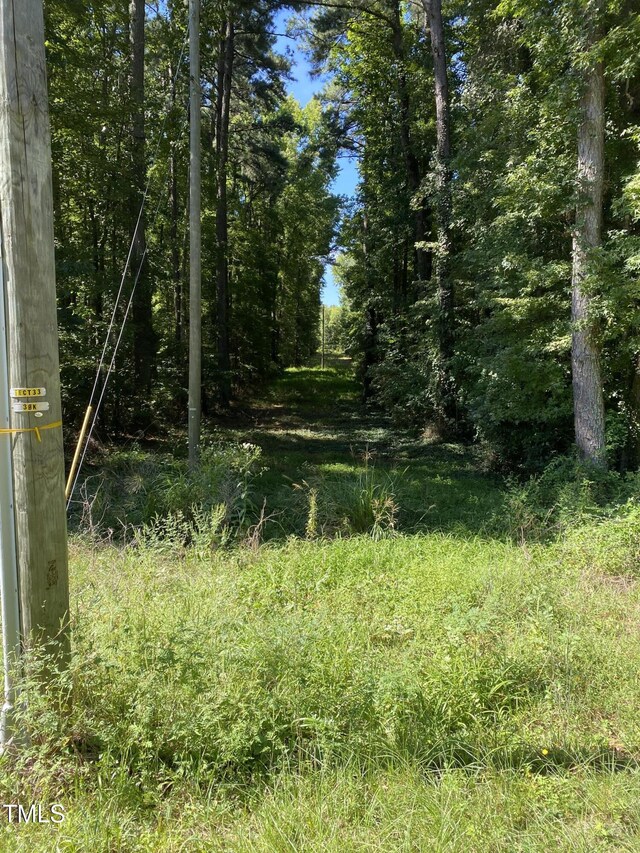 0 Collins Rd, Manson, NC 27553