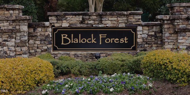 6512 Blalock Forest Dr, Willow Springs, NC 27592 - view of community / neighborhood sign