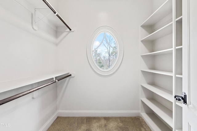 3908 Chaumont Dr, Apex, NC 27539 - walk in closet featuring carpet flooring