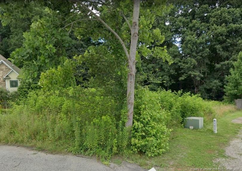 168 Fallen Acorn Dr, Troutman, NC 28166
