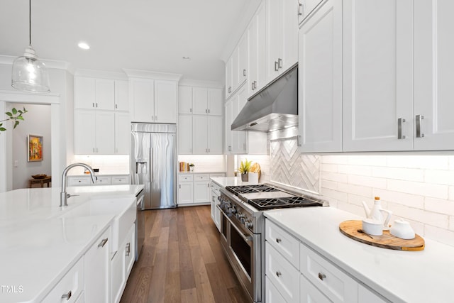 7212 Summer Tanager Trl, Raleigh, NC 27614 - kitchen with premium appliances, under cabinet range hood, white cabinetry, light countertops, and backsplash