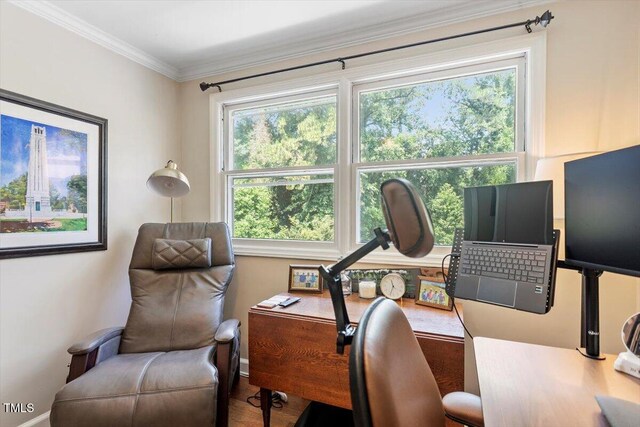 2913 Anderson Dr, Raleigh, NC 27608 - office space featuring baseboards, ornamental molding, and wood finished floors