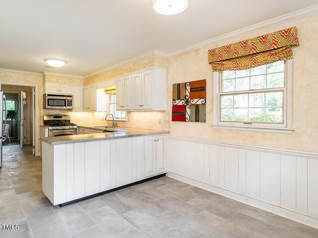 2228 Walker Ave, Burlington, NC 27215 - kitchen featuring stainless steel appliances, a sink, healthy amount of natural light, crown molding, and a peninsula