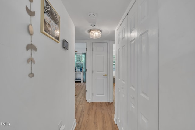 hall featuring light wood finished floors