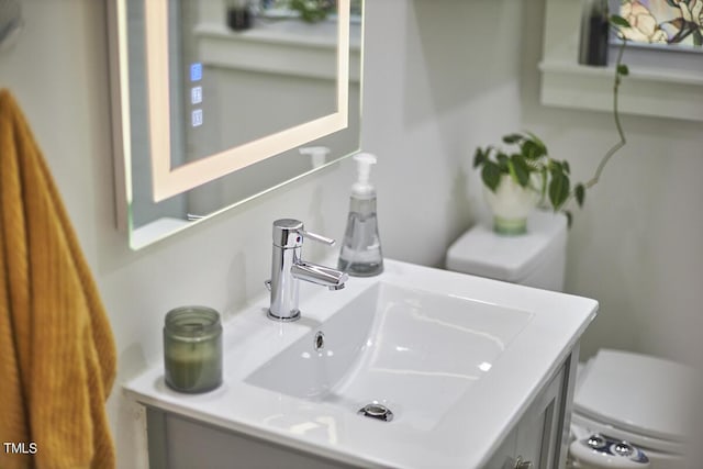 bathroom view of toilet and vanity