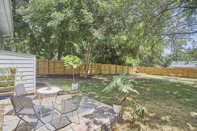 view of yard featuring a patio area