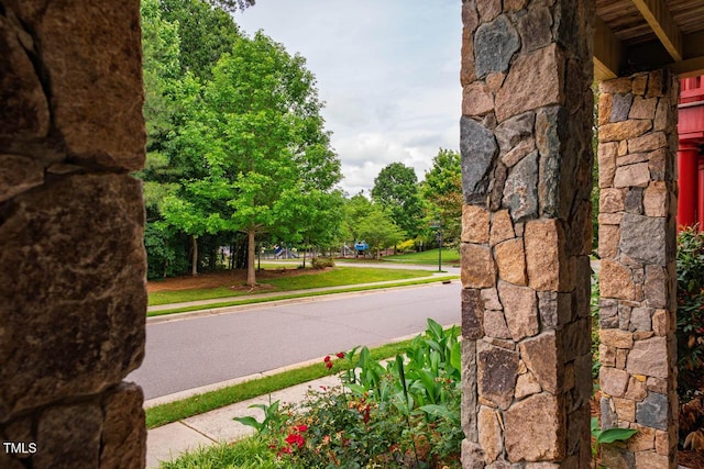 253 Tobacco Farm Way, Chapel Hill, NC 27516 - view of asphalt street featuring sidewalks and curbs