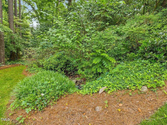 3347 Ridgecrest Ct, Raleigh, NC 27607 - view of local wilderness