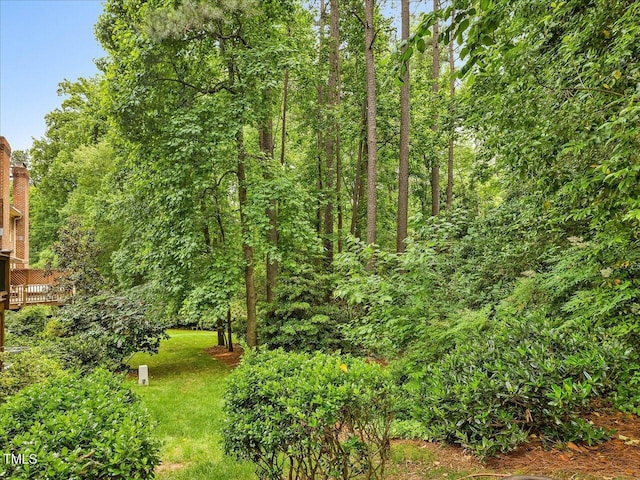3347 Ridgecrest Ct, Raleigh, NC 27607 - view of green lawn