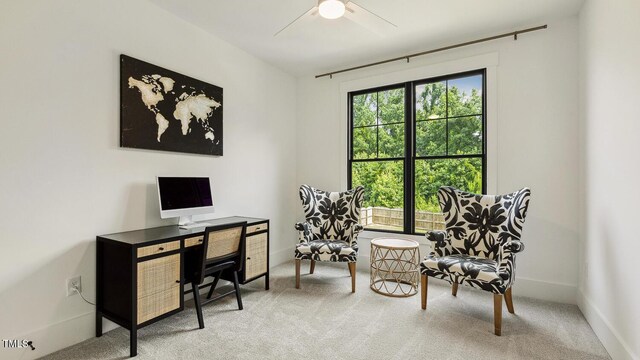 1141 Duke Farm Dr, Wake Forest, NC 27587 - carpeted office space with a ceiling fan