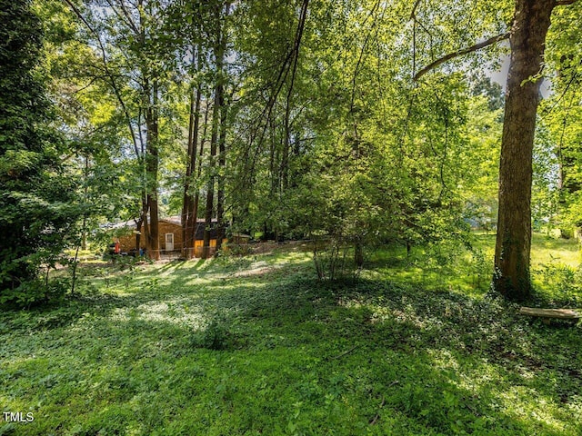 1614 Greenbriar Rd, Durham, NC 27701 - photo 14
